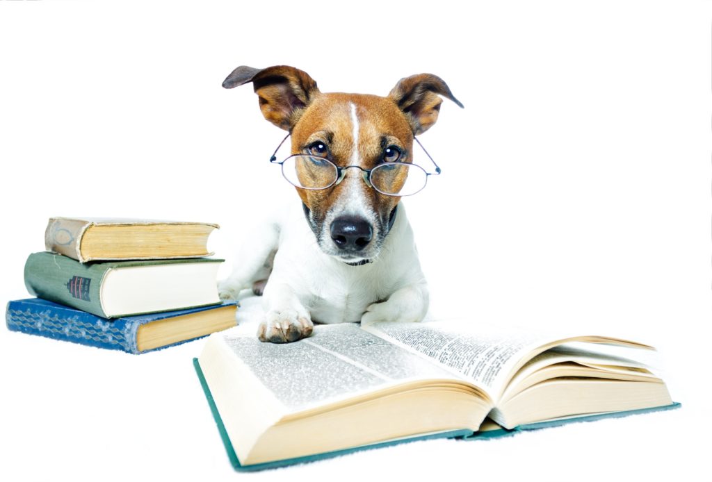 READING LIST | Have a Good Dog dog trainer in Durham. Also ...
